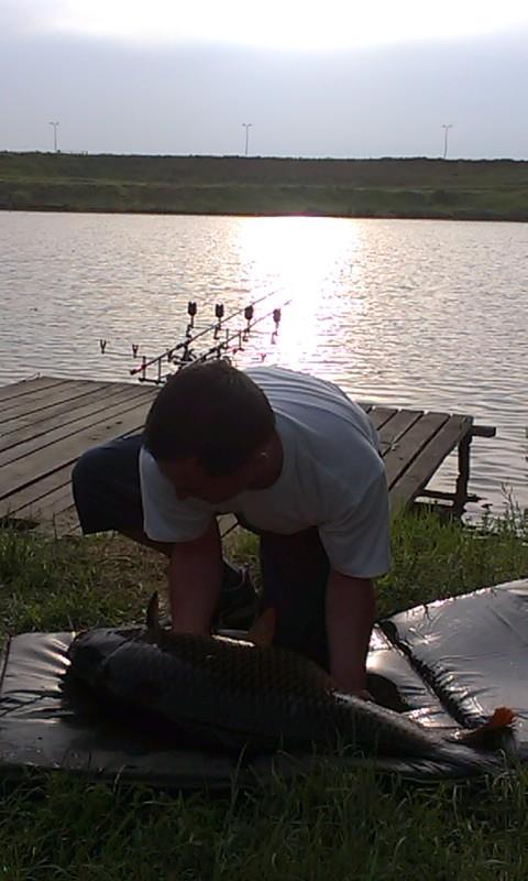 Green Paradise 6 - 8 iunie 2014 - crap comun- 13,9kg-femela